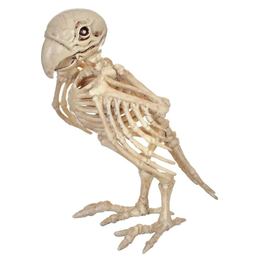 Skeleton Parrot Prop Halloween Decoration