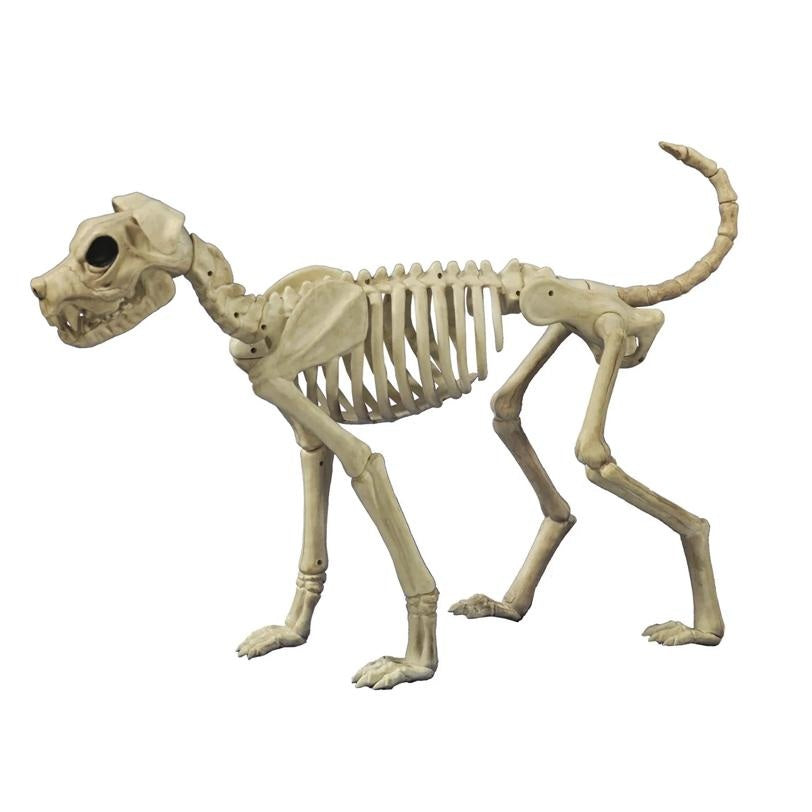 Buster Bonez Poseable Dog Skeleton Halloween Decoration