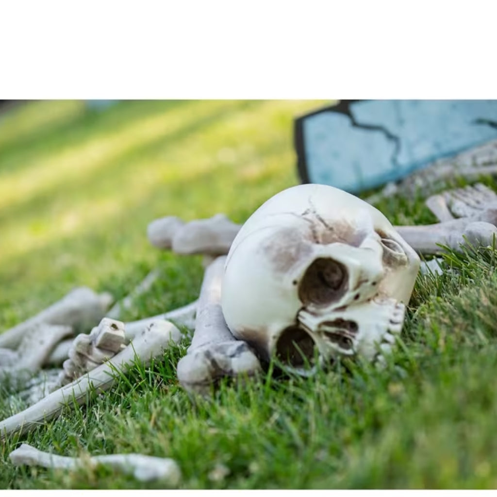 Bag of 28 Plastic Human Bones Halloween Decorations