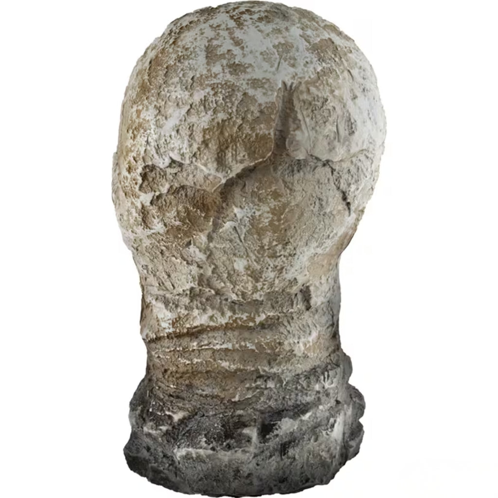 Stone sculpture of a head on a white background