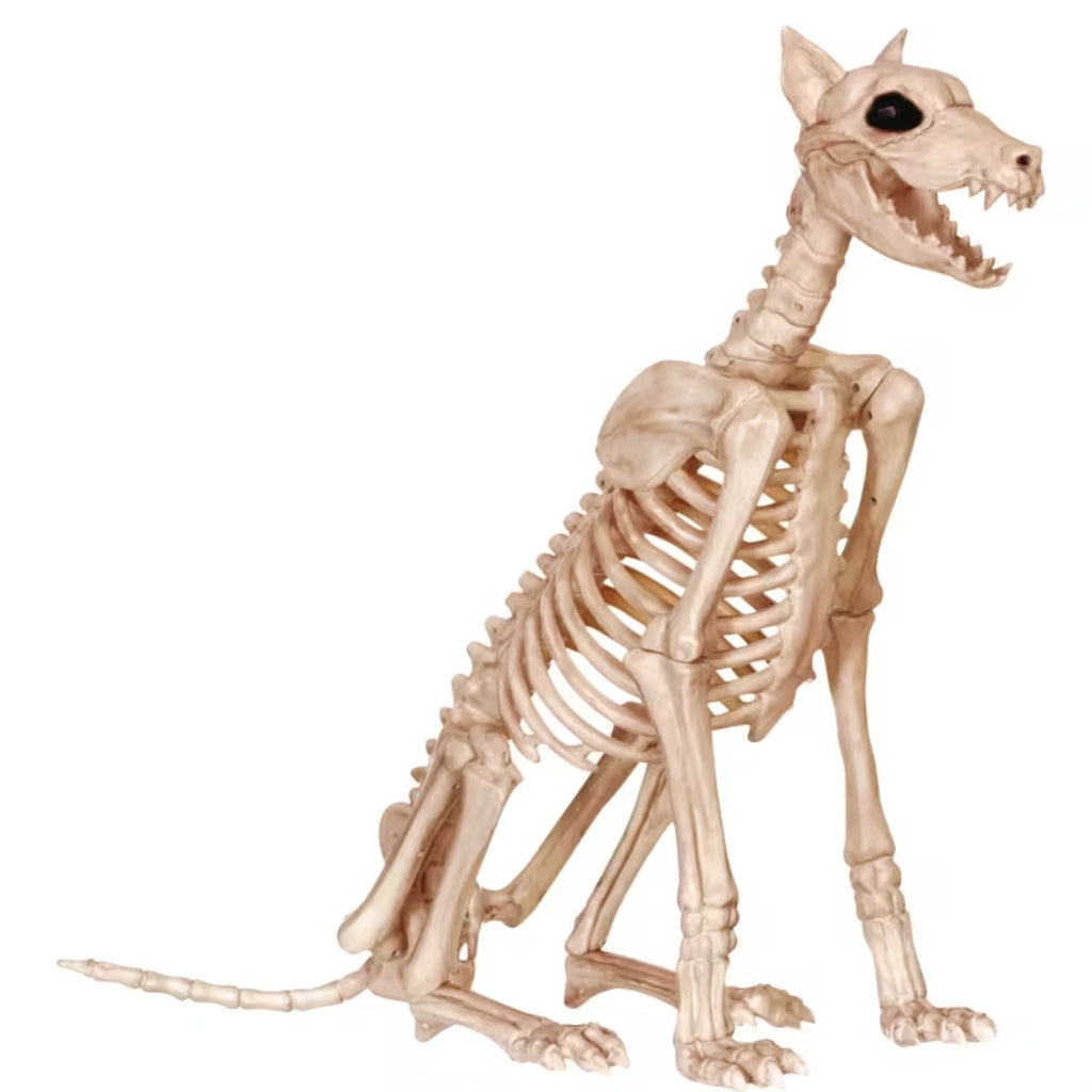 29" Skeleton Doberman Dog Halloween Decoration