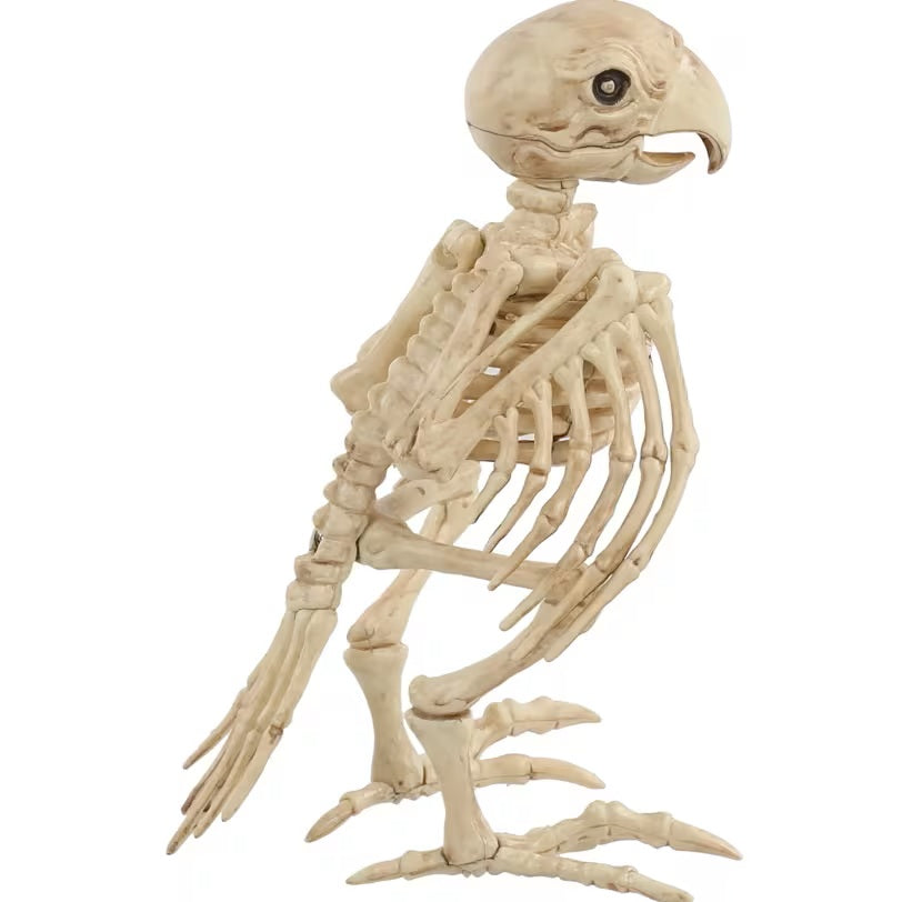 Skeleton Parrot Prop Halloween Decoration