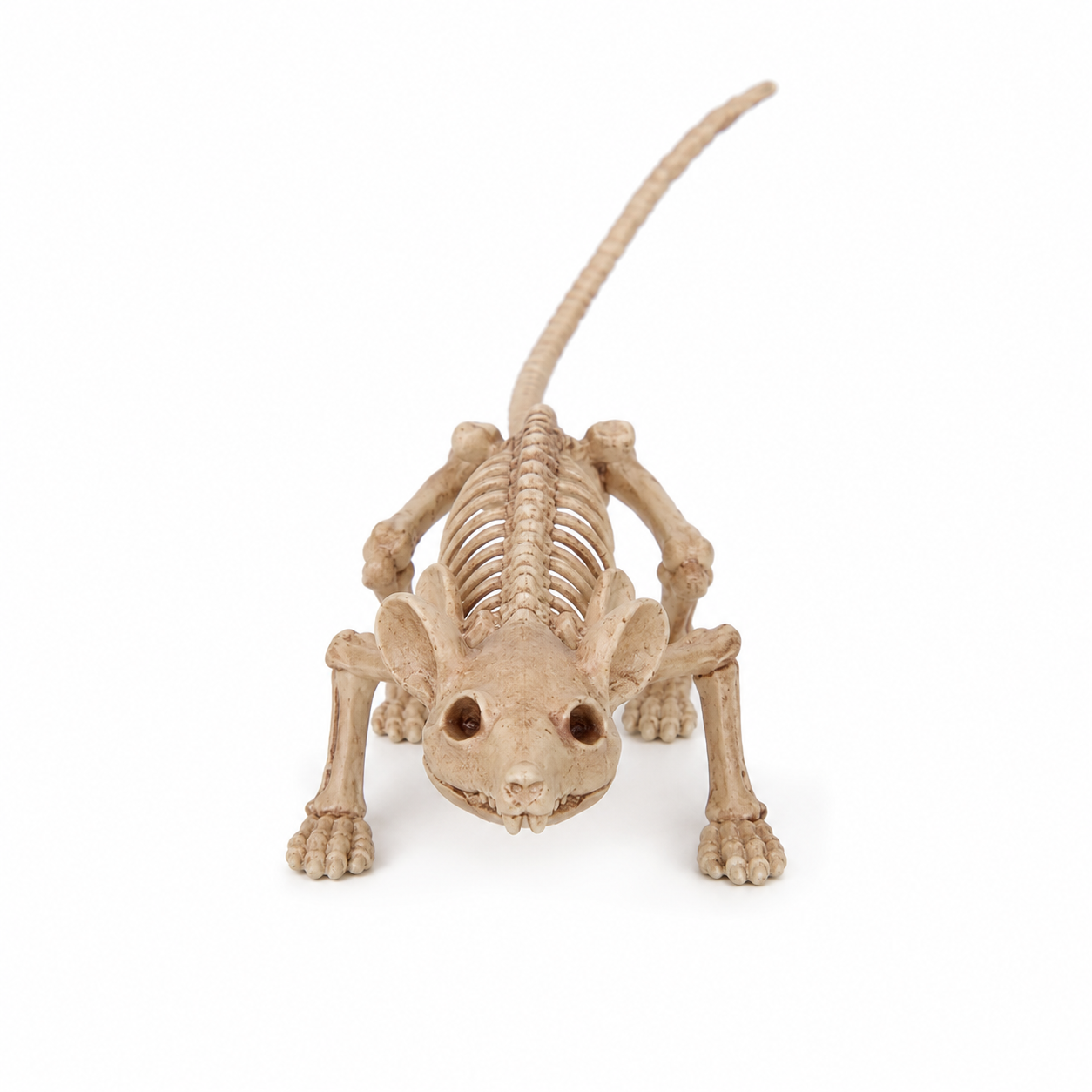 Mini Skeleton Rat - 9 Inch