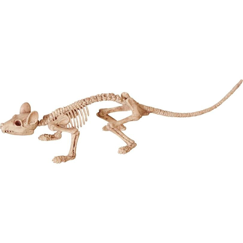 Mouse skeleton model on a white background