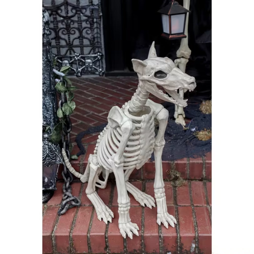 29" Skeleton Doberman Dog Halloween Decoration