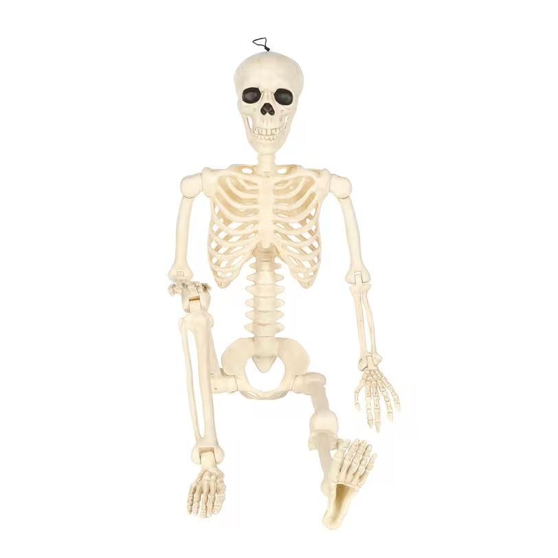 5ft Hanging Pose-N-Stay Life-Size Skeleton Decoration