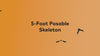 video of 5-foot posable skeleton showing its movements and positioning